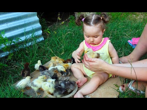 Cute Baby Meeting Chicks for the first time