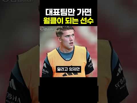 대표팀만 <strong>가면</strong> 월클이 되는 선수