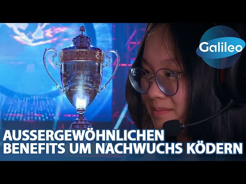 Kampf um die besten Azubis: Esport-Stipendium und Doppelhaushälfte