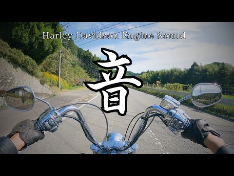 【高音質】エンジン音！ハーレーダビッドソン　ソフテイル　Harley Davidson Engine Sound