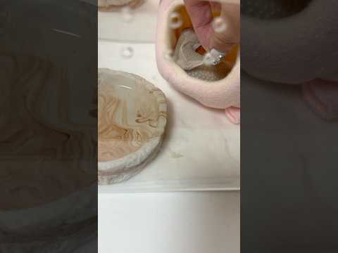 脱皮を手伝う🤲#レオパードゲッコー #lizar