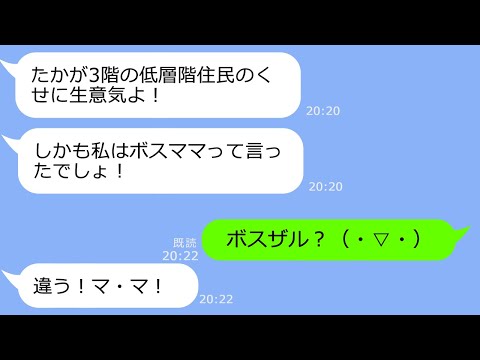 【LINE】タワマン高層階に住むママ友が低層階の私を見下してきた「3階なんて無理しちゃってｗ」→勘違いしているマウント女を自宅に招待した結果ｗ【スカッと】