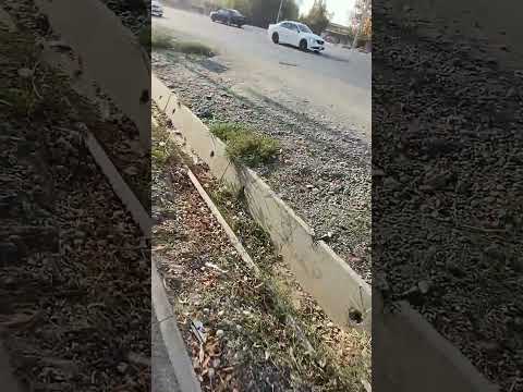 Чистота улицы с.Масы айылынын көчөсүнүн тазалыгы #масы #ноокен #жалалабад #кыргызстан #чистота #🇰🇬