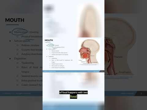 NCLEX Must-Knows . . . Digestive process