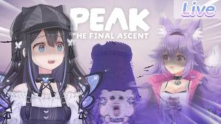 【Peak】จุดสูงสุดของ Vtuber ft.@KitsunekoMewten