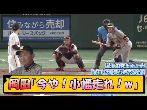 【阪神のお笑い】岡田「今や！小幡走れ！w」【なんJ/2ch/5ch/ネット 反応 まとめ/阪神タイガース/岡田監督/小幡竜平/ビーズリー】