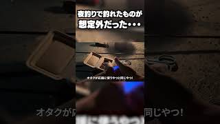 夜釣りに来たら想定外なものが釣れた!!!!【VEE/亞生うぱる】