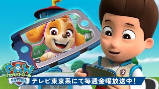 動画サムネイル