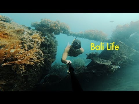 Bali's Most Beautiful Shipwreck Dive - Bali Life - UCd5xLBi_QU6w7RGm5TTznyQ