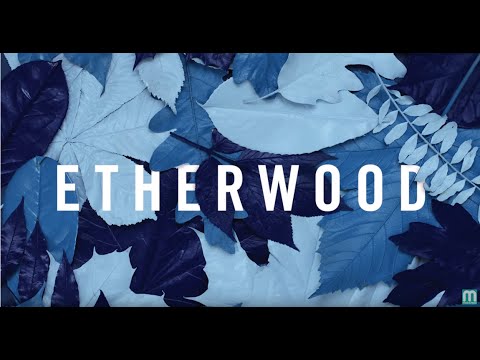 Etherwood - Revive (feat. Logistics & Eva Lazarus) - UCNyo1qwT4ZKuoWsyrrdoc6g