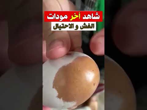 الجزائر 😱😱 شاهد ماذا حدث لهذه المرأة بعدما اشترت البيض