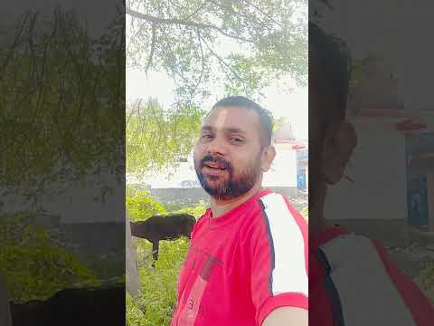 #lucu #trending #channel