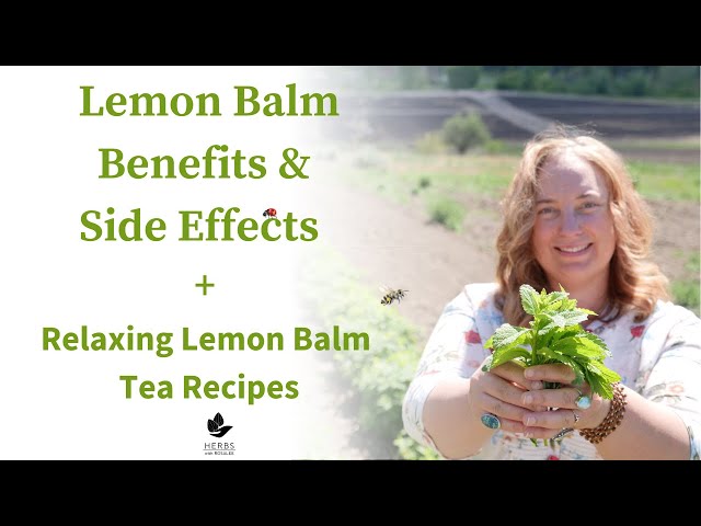 Is Lemon Balm Edible?