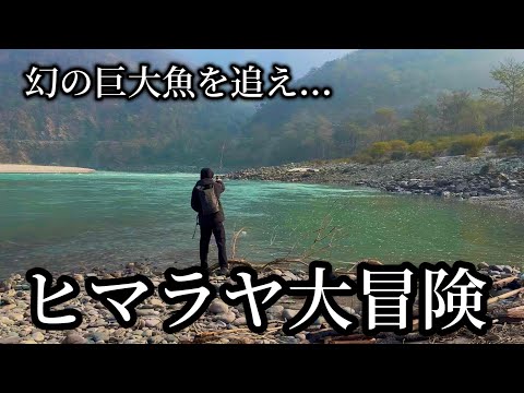 19歳インド大冒険、ヒマラヤ山脈で幻の巨大魚に挑む旅