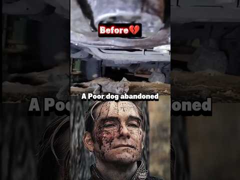 Dog sad moment 😢💔 (Abandoned) #shortsfeed #shorts #dog #sad