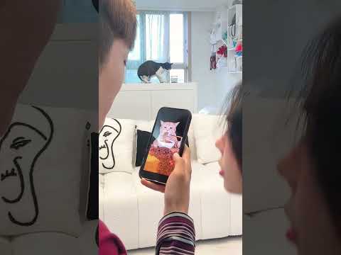 Perfect evidence😎🫵 #shorts #funny