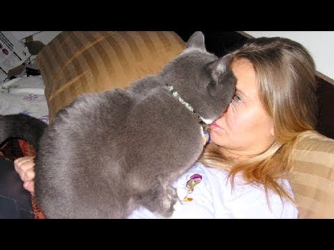 TRY NOT TO DIE from LAUGHING TOO HARD - Funniest ANIMAL compilation - UCKy3MG7_If9KlVuvw3rPMfw