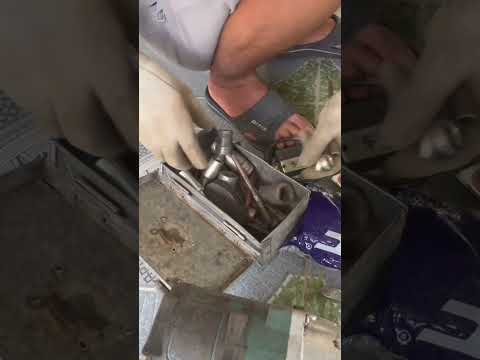 Chữa lành #automobile sửa xe một ngày nắng đẹp😁