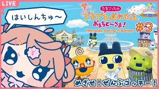🔴【たまごっちのプチプチおみせっち おまちど～さま！】夜にお店開店でーす！【あさよる探偵事務所】