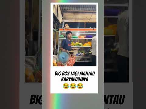 Pengusaha muda nih kucing oren ini #videolucu #kucing #fyp