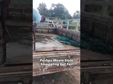 #viral #pushpa #errachandanam #alluarjun #telugu #djremix #folksong #farming #farmer #india #ap #tg