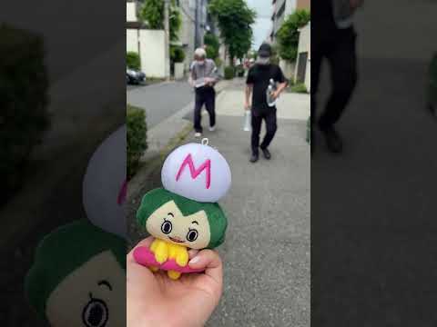 【松戸市】まちのプランターお手入れ会（2025年5月）
