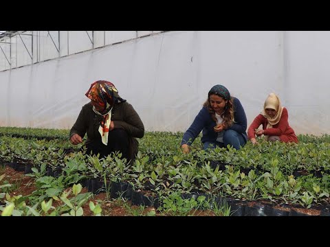 Gaziantepli 7 kadın, kurdukları kooperatifle ihracata başladı