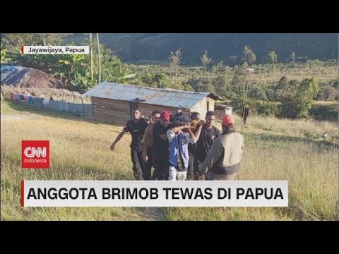 Anggota Brimob Tewas di Papua