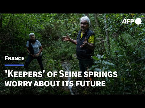 The "keepers" of the river Seine springs worry about its low level |
AFP