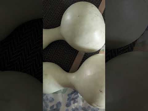 #bottlegourd#sorakay#