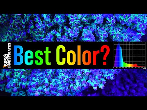 Tested: Get the BEST Coral Coloration in Your Reef Tank With the Right Spectrum.