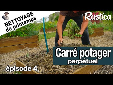 Carrés potager perpétuels au printemps 4 – Une clématite au potager