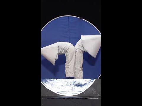 日テレ公式【仮装大賞】交通標識 #shorts