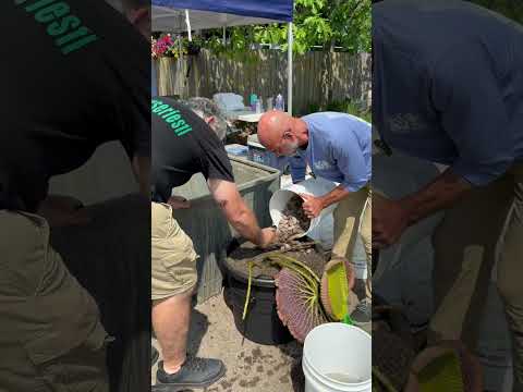 Aqualand Planting Day 2025! 