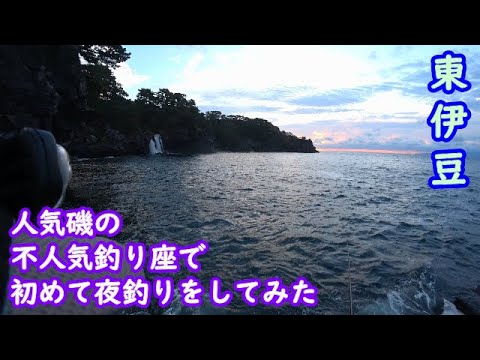 【東伊豆】八幡野地磯 深夜～早朝 美味しいお魚狙い【2024年9月上旬】