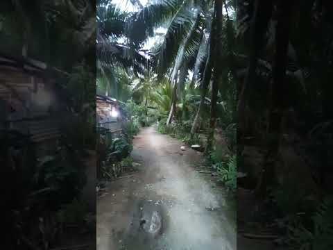 thị trấn về đêm#cảnh đẹp miền tây #về quê.