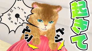 【子猫】どうやら私は目覚まし時計を拾ったようです