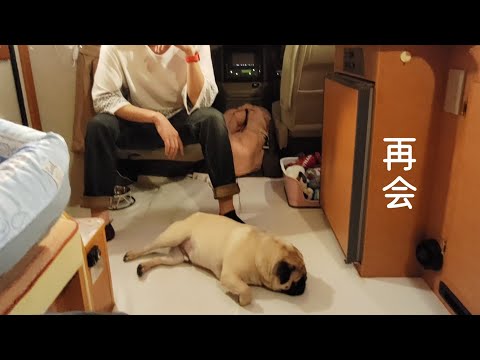 豆腐パスタの最新動画 Youtubeランキング