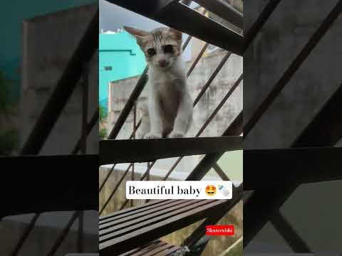 the eyes 👀 tell love 😘 #please_subscribe_my_channel #viewskaisebadhaye #love