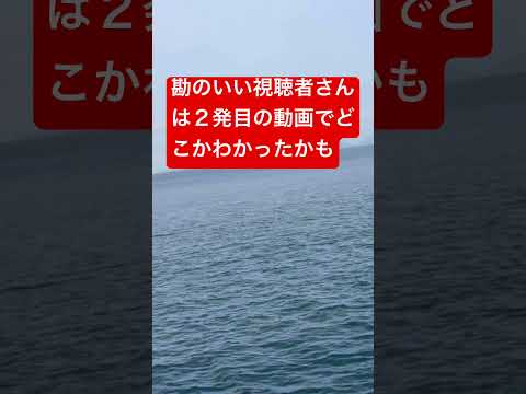 【高知県㊙️釣り情報】🩷いや〜ん🩷3発目‼️