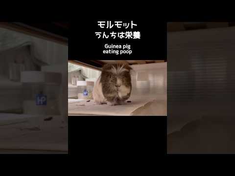 地産地消