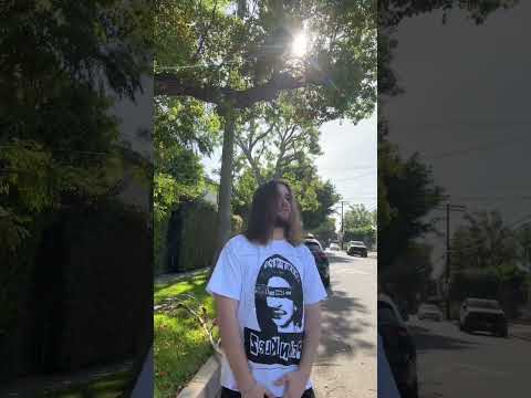 Free Wizz #Ztro