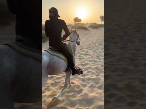 Desert horse riding Dubai #horse #horseriding #horsetrack #equestrian