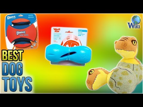 10 Best Dog Toys 2018 - UCXAHpX2xDhmjqtA-ANgsGmw