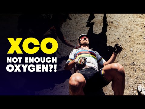 The High Altitude Hurt Locker | Vallnord XCO Highlights 2019 - UCXqlds5f7B2OOs9vQuevl4A