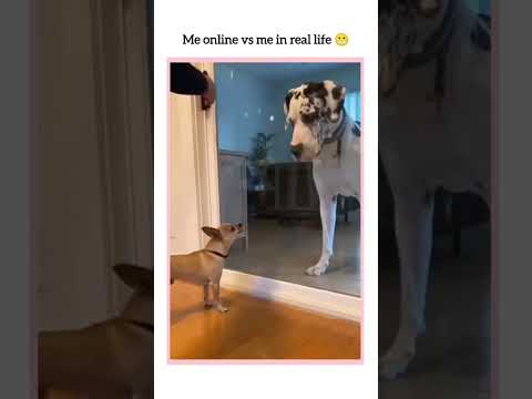 Confidence level: 100… until the glass door opens 😅