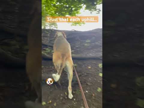 Don’t fear the unseen top — trust that every uphill leads somewhere brighter.