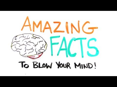 Amazing Facts to Blow Your Mind Pt. 2 - UCC552Sd-3nyi_tk2BudLUzA