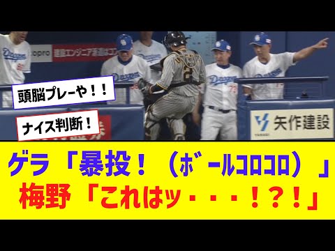 阪神・梅野、ボールがベンチに入るのを見送る好判断！三塁到達の走者が二塁に戻される【なんJ反応】