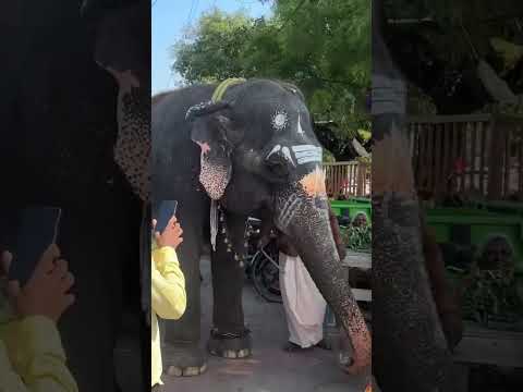 Sri Magudeswarar Temple🛕Erode🙇🏻♀️#temple #erode #devotional #kodumudi #travel